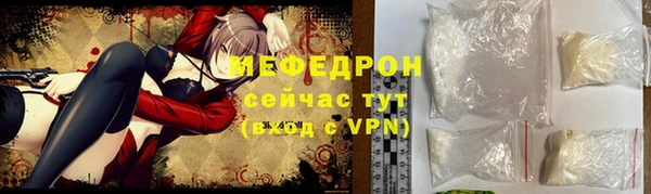 хмурый Аркадак