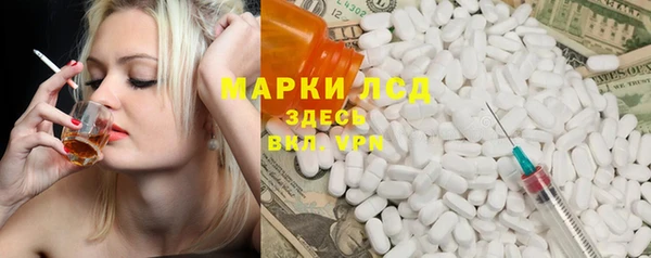 хмурый Аркадак