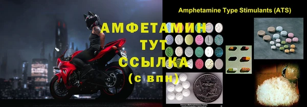 хмурый Аркадак