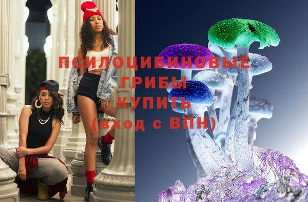 хмурый Аркадак