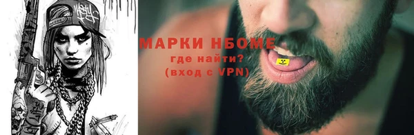 хмурый Аркадак