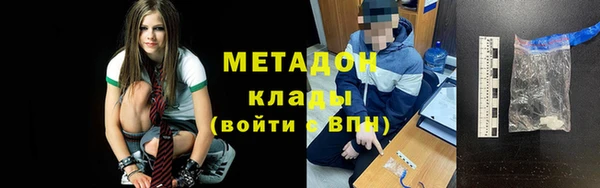 хмурый Аркадак
