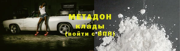 хмурый Аркадак