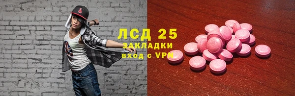 хмурый Аркадак