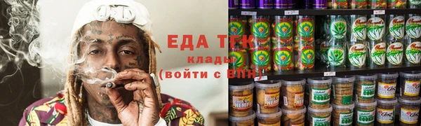 хмурый Аркадак