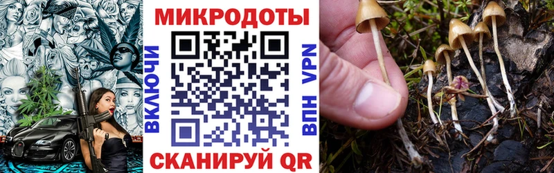 Псилоцибиновые грибы Psilocybine cubensis  Хвалынск 